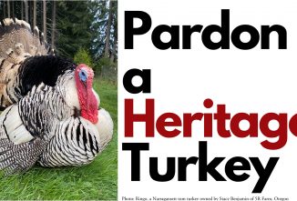 Pardon a Heritage Turkey 2022